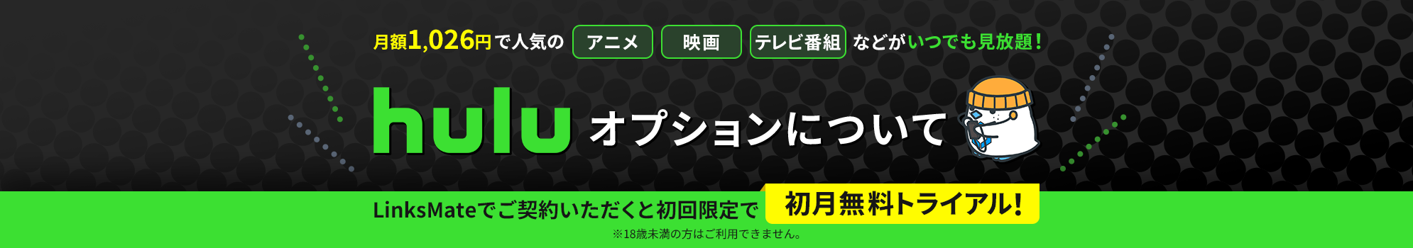 Huluオプションについて