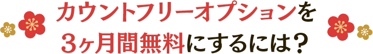 カウントフリーオプションを3ヶ月間無料にするには？