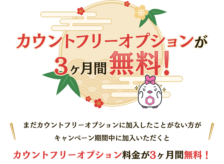カウントフリーオプションが3ヶ月間無料!