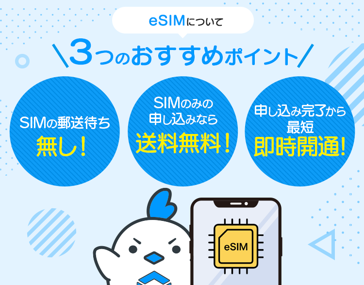 Esimについて リンクスメイト Linksmate