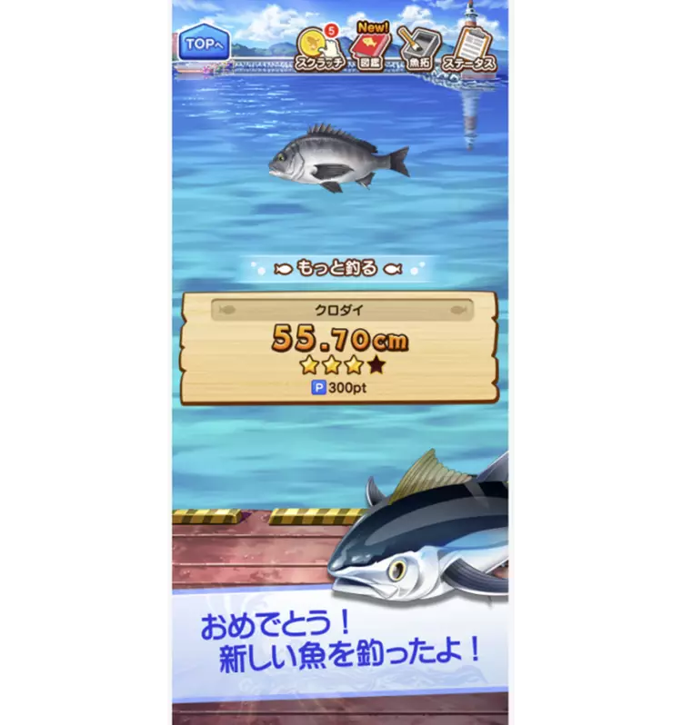 釣り場を選んで魚を釣ろう！
