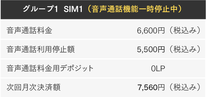 常に所有している必要のあるlp リンクスメイト Linksmate