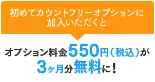 初めてカウントフリーオプションに加入いただくと、オプション料金550円（税込）が3ヶ月分無料に！